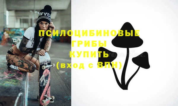меф Арсеньев