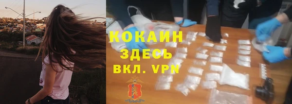 меф Арсеньев