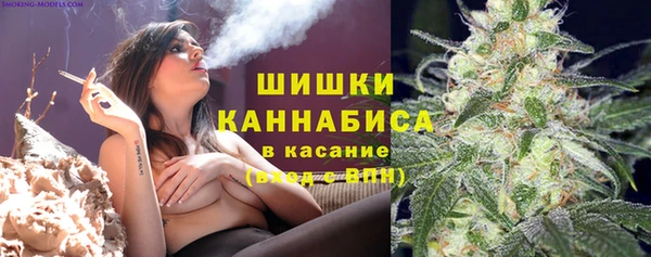 меф Арсеньев