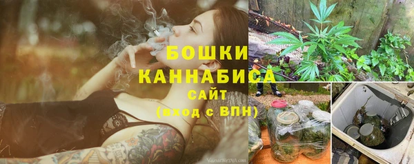 PSILOCYBIN Аркадак